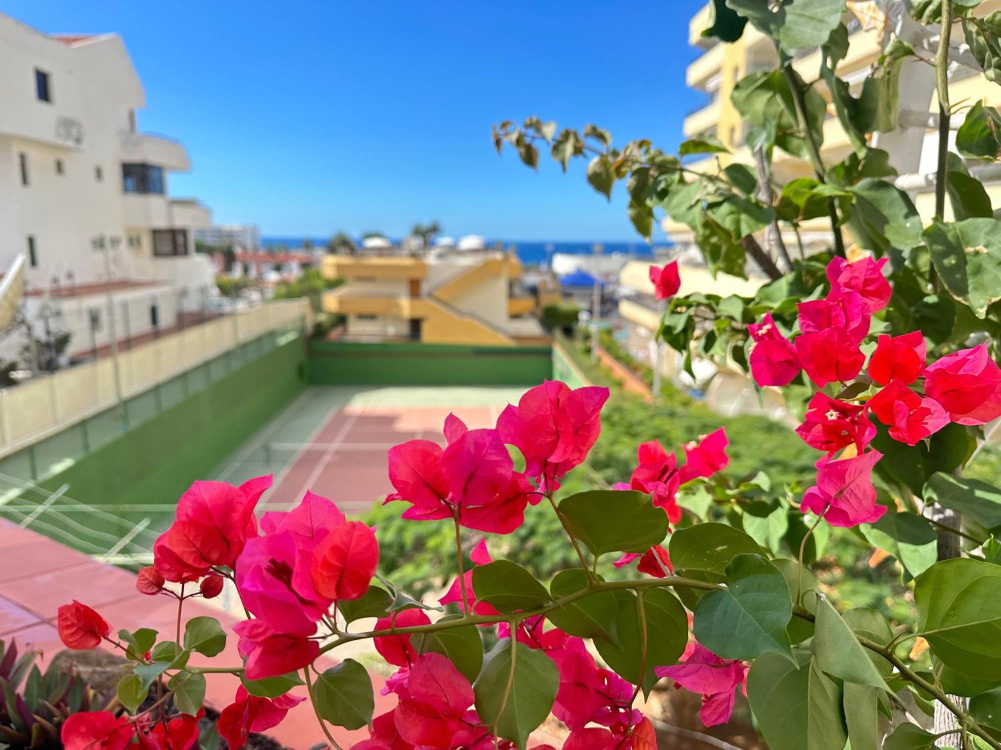 Apartment In Ocean Park, Costa Adeje, Tenerife Exteriér fotografie